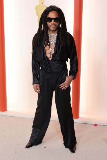 Lenny Kravitz. Image: Kayla Oaddams/WireImage for Getty Images