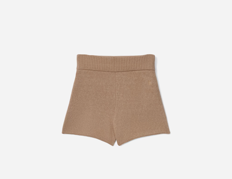 everlane_shorts