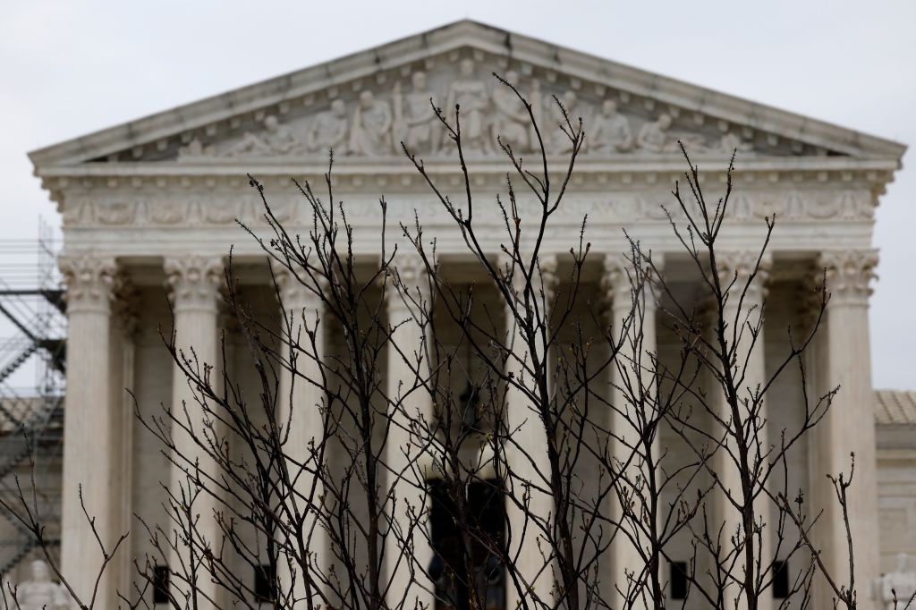 Branches slightly obscure the facade of the U.S. Supreme Court building