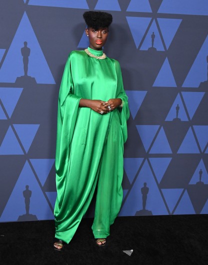 Academy Of Motion Picture Arts And Sciences' 11th Annual Governors Awards. Image: Steve Granitz/WireImage for Getty Images