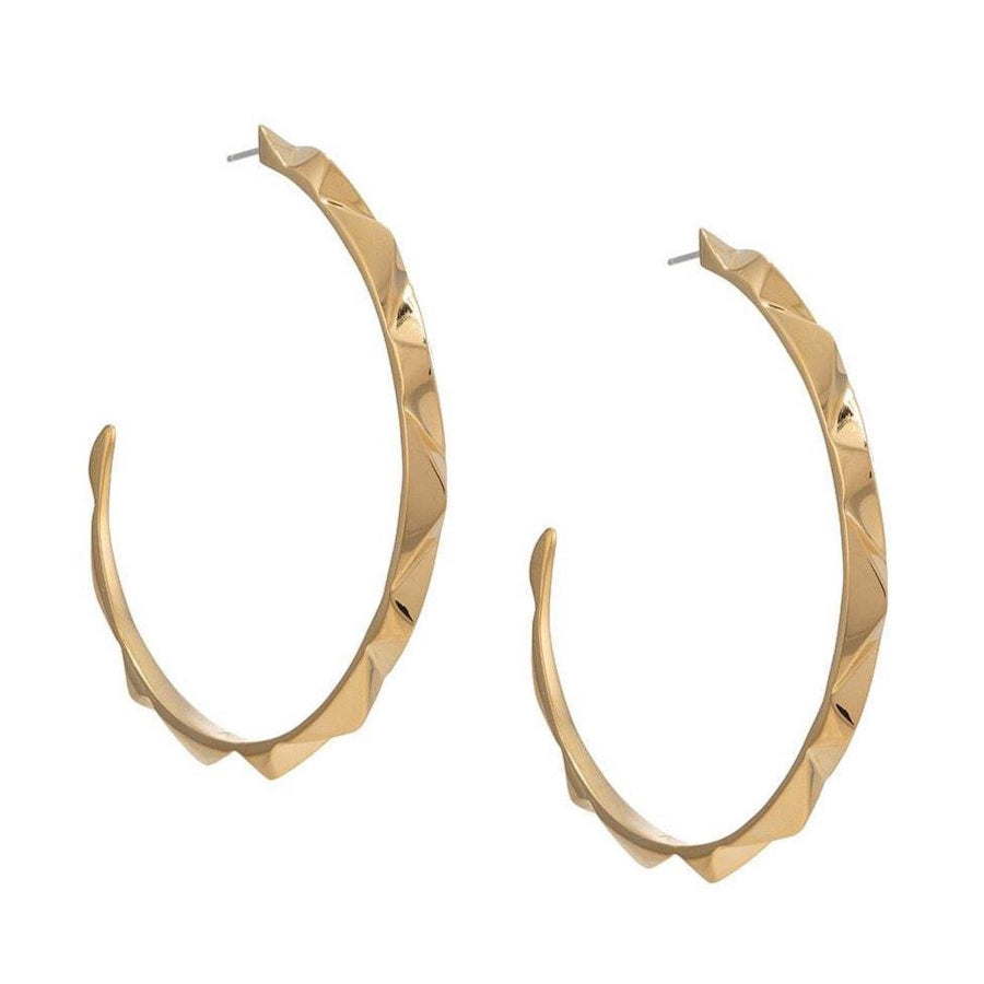 Hoop Earrings