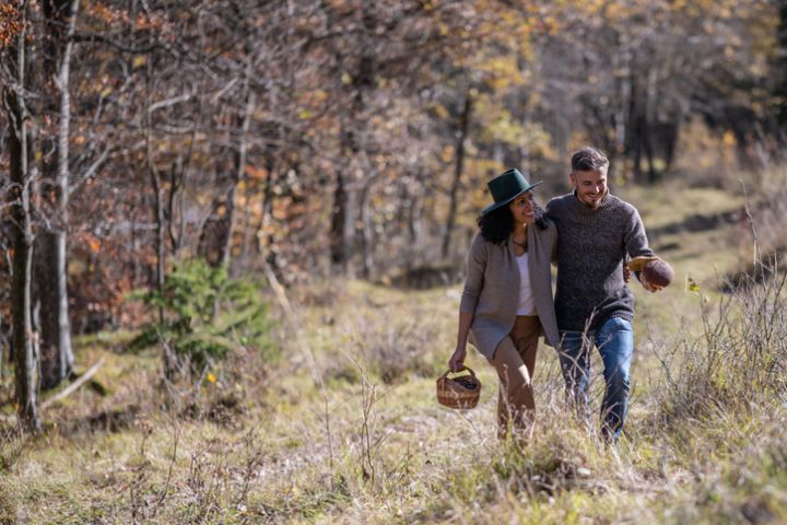 Fall Foliage Hike