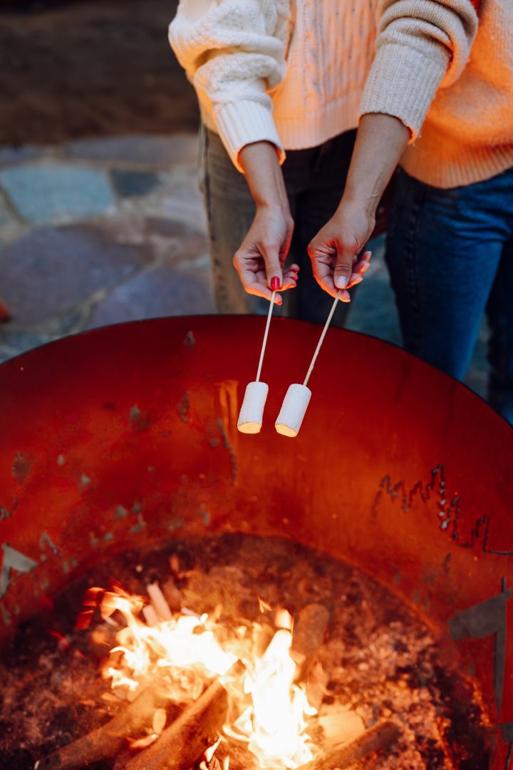 Bonfire and S'mores