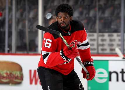 Former NHL star Subban showcases hockey’s diverse world