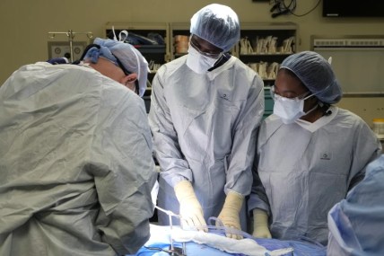 Few transplant surgeons are Black. Giving medical students a rare peek at organ donation may help