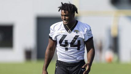 Former NFL linebacker Myles Jack buys majority stake in pro hockey team