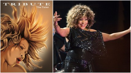 A new comic book celebrates music icon Tina Turner