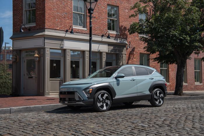 Hyundai Kona assets