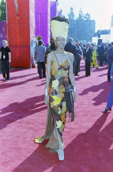 Erykah Badu. Image: Jan Jarecki/Donato Sardella/WWD/Penske Media for Getty Images.